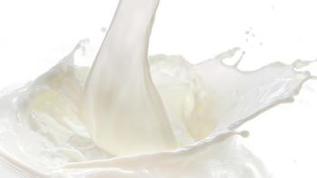 广西水牛奶为啥成了“奶中贵族”？