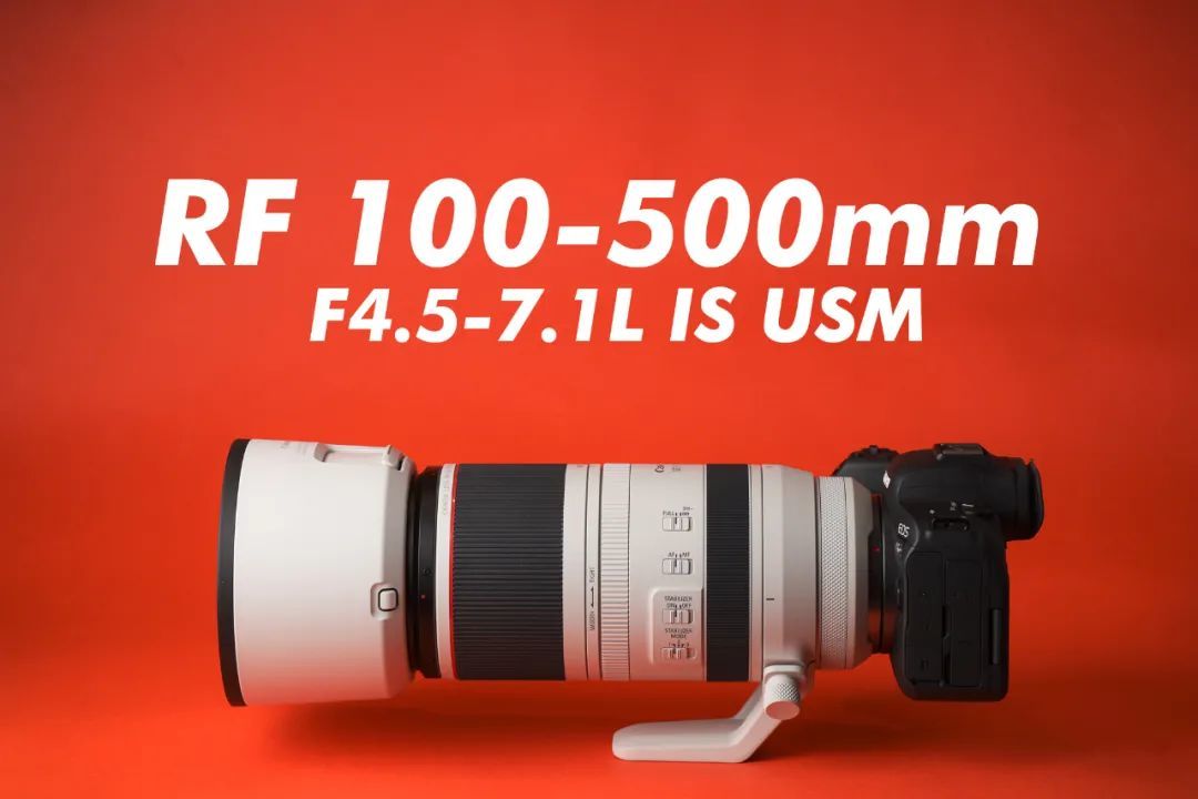 相机LIFE | 更远 x 更轻的白炮 RF 100-500mm F4.5-7.1L IS USM体验