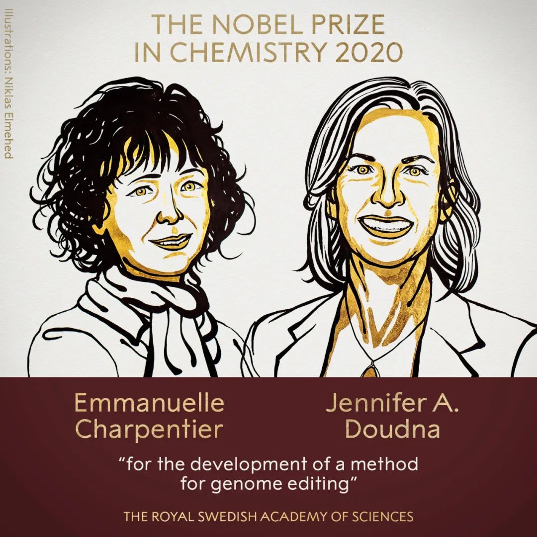 2分钟读懂今年的诺贝尔奖化学奖：基因编辑是什么？丨直击诺奖