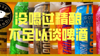 没喝过精酿，不足以谈啤酒 | 鹅岛新手包众测