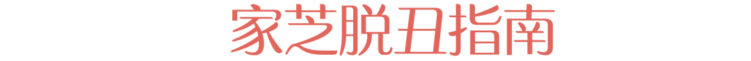 如何在家建一个1㎡的室内花园