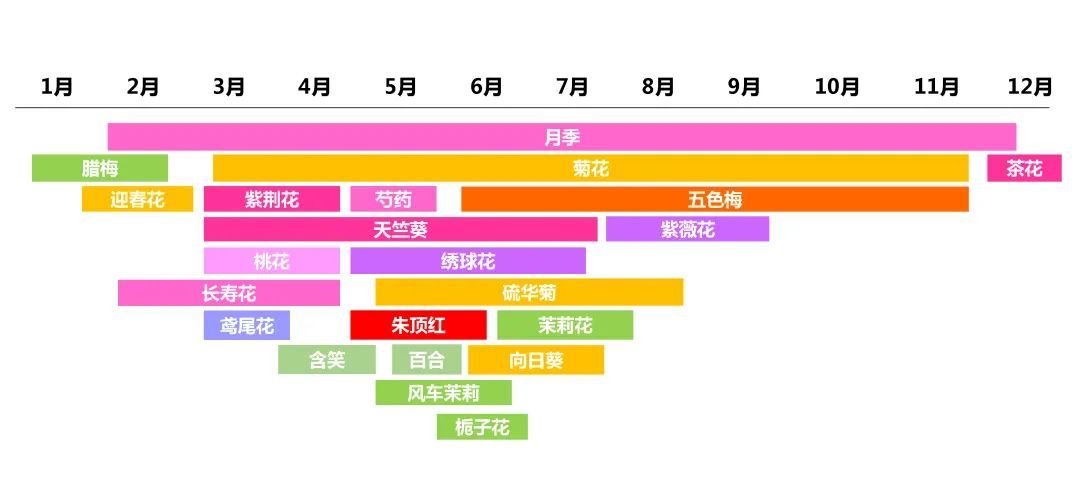 上海夫妻爆改破旧小院，杂草、垃圾满堆的小院变成社区网红花园，邻居动物都来串门