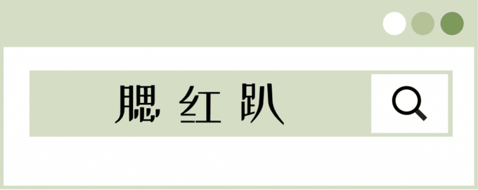 干货篇丨最全冷暖皮彩妆攻略来了！