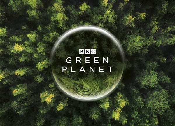 B站与BBC首次联合出品：自然历史类巨制《绿色星球》来了