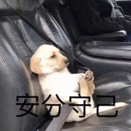 31日更新|@铲屎官,双11宠粮想要什么样的好价?来许愿,我们为你实现!(好价持更ing)