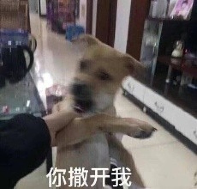 31日更新|@铲屎官,双11宠粮想要什么样的好价?来许愿,我们为你实现!(好价持更ing)