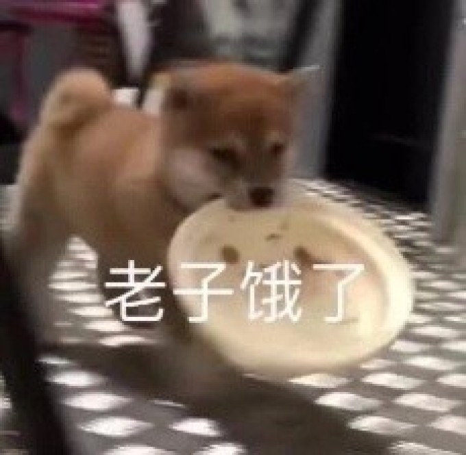 31日更新|@铲屎官,双11宠粮想要什么样的好价?来许愿,我们为你实现!(好价持更ing)