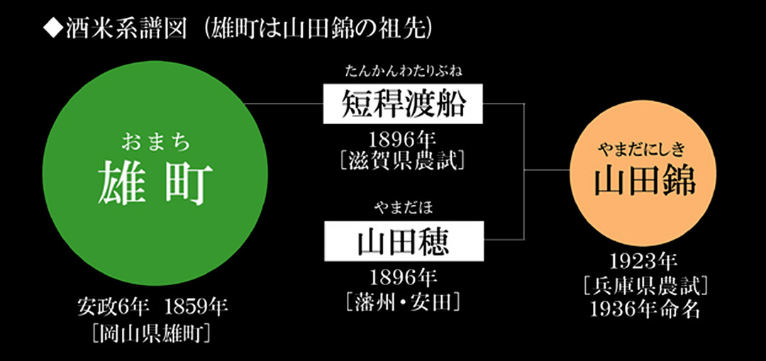 为了酿出一瓶价值5位数清酒，日本人到底有多拼？