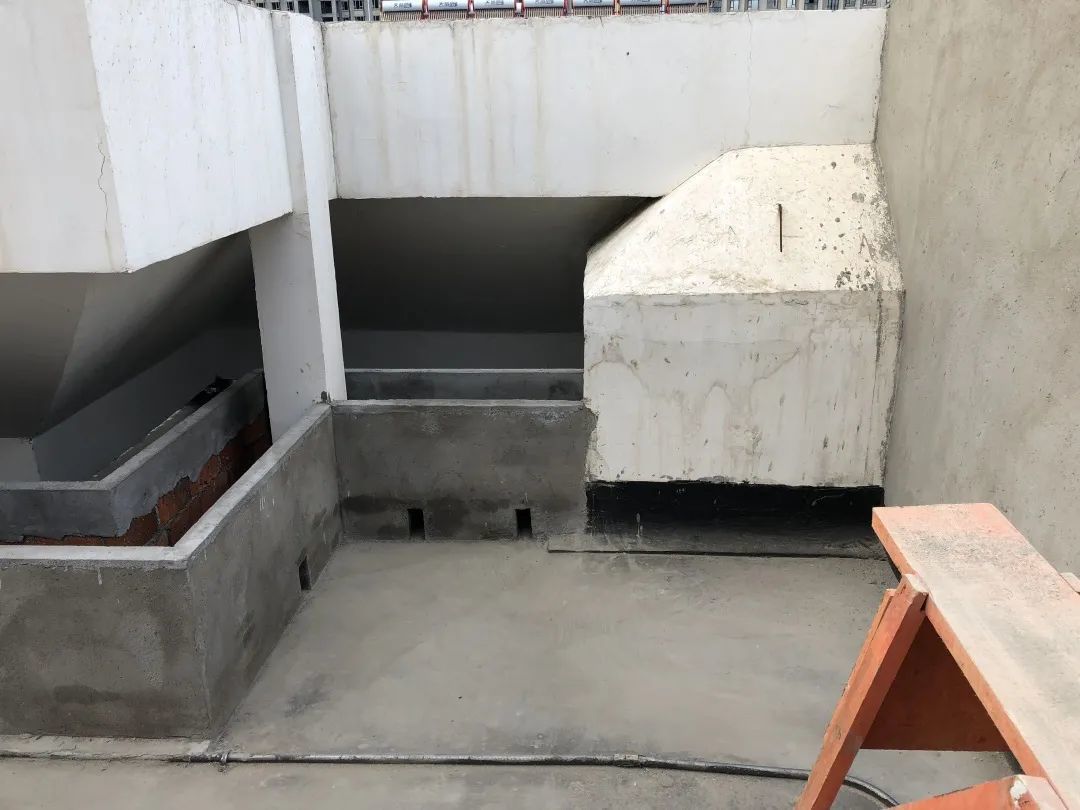 2年时间,光秃秃水泥露台变成满园花海,大神却说自己是"园艺小白"?