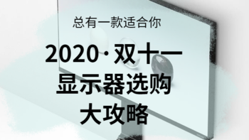 黄昏鼓捣数码 篇七十三：总有一款适合你  2020·双11 显示器选购大攻略