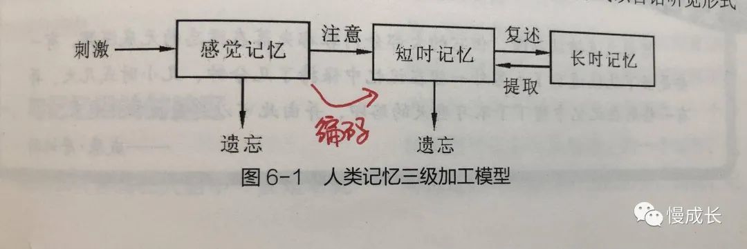 我发现了一个让娃记忆力翻倍的小秘密，几种记忆力训练法分享