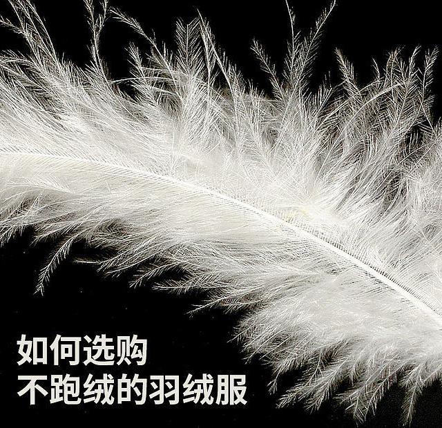 如何避免羽绒服跑绒？觅乐无缝羽绒服使用体验及推荐