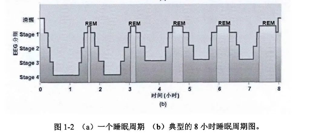 打工人的清晨日常，为了多睡1分钟脑洞能开多大？！