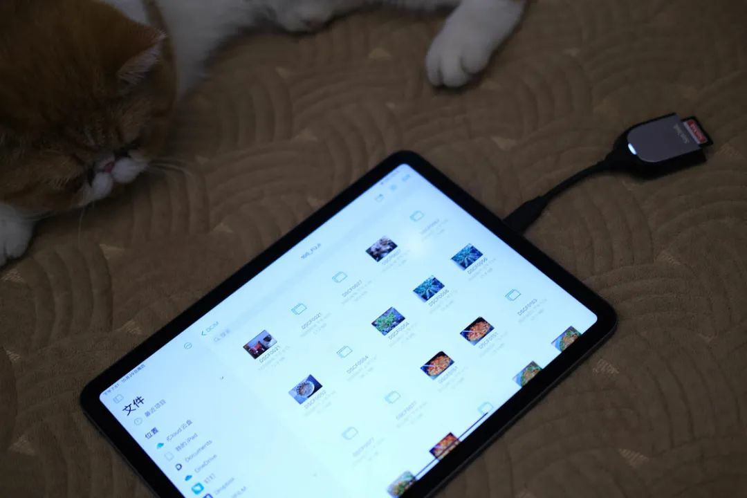 改头换面的 iPad Air 4，是适合大多数人的 iPad