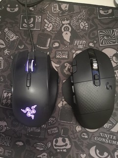 g604 & 那伽梵蛇