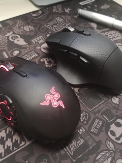 g604 & 那伽梵蛇