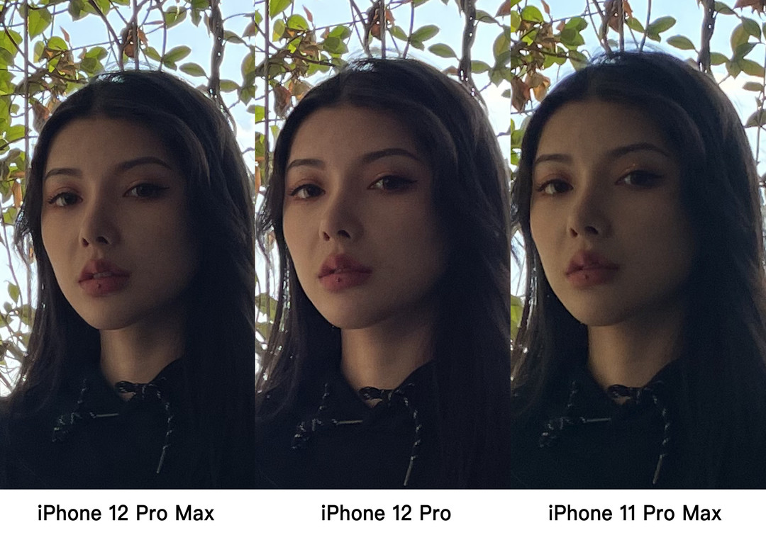 顶配“苹果照相机”升级了啥？今年表现如何？iPhone 12 Pro Max拍照功能深度评测【多图杀猫】