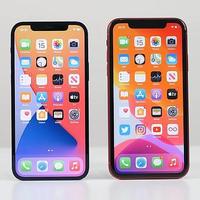 iPhone11比12更值得入手？不妨先看看它们拍照、性能的实测对比