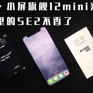 真·小屏旗舰12mini来了，手里的SE2不香了！全面对比测评！