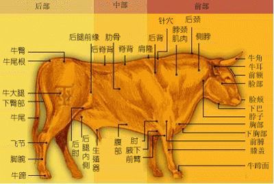 酱牛肉，只加香叶八角可不行！外面卖128，简单2步肉酥筋软超入味，赶紧收藏~