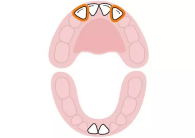 宝宝的出牙数量怎样算正常 长牙难受怎么办 长牙会发烧 你所了解的很可能并不正确 婴儿护理用品 什么值得买