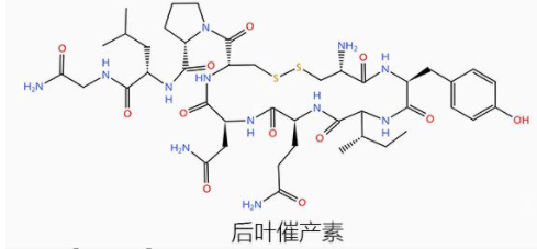 分享一套厉害的学霸作息方法