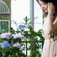 她用1年打造仙女风花园，20㎡南北阳台100多盆花，四季都有花开