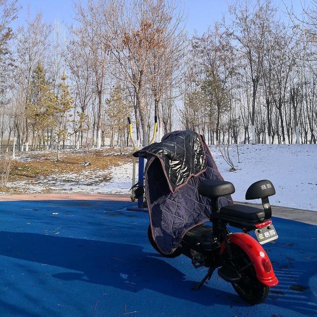 2020年的第一场雪后，赛鸽小坦克来了