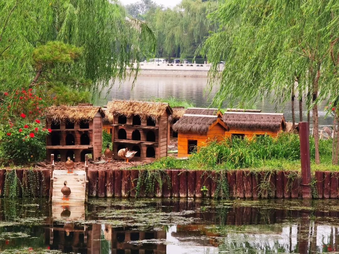 先有什刹海，后有北京城，四九城的运河怎么玩？