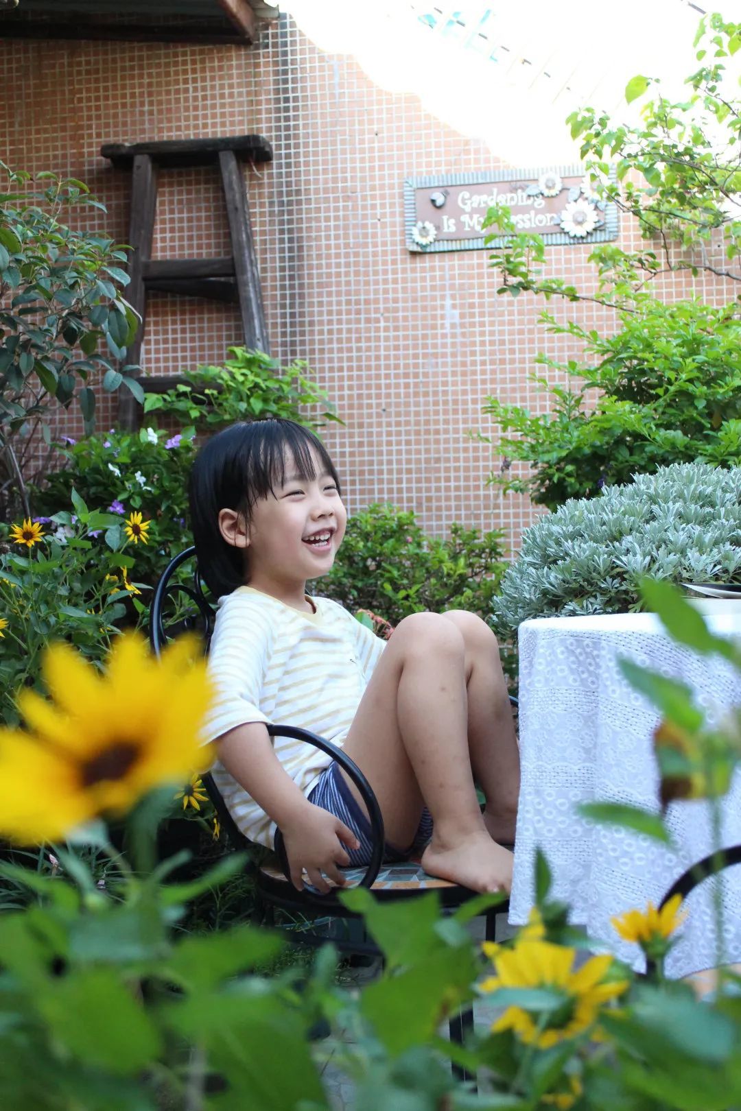 广东孕妈打造12㎡露台花园，为了宠物孩子健康坚持不打药，如今是他们的最爱乐园