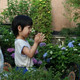 广东孕妈打造12㎡露台花园，为了宠物孩子健康坚持不打药，如今是他们的最爱乐园
