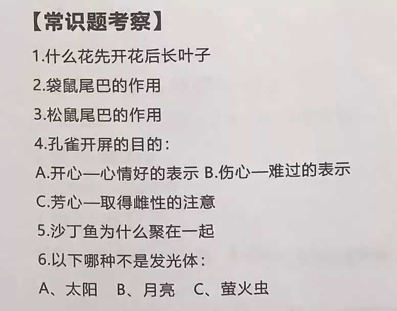 娃2岁后最该培养什么能力？分析3年9所民办小学入学测试题，我有了答案（附真题）