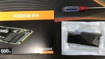 铠侠Kioxia/芝存RC10 500GB SSD拆箱&黑群增加NVME缓存