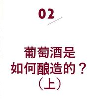 葡萄酒的100节课程——02. 葡萄酒是如何酿造的（上）