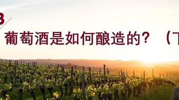 葡萄酒的100节课程——03. 葡萄酒是如何酿造的？下