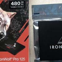 希捷IronWolf Pro125系列480GB拆箱闪退