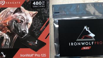 希捷IronWolf Pro125系列480GB拆箱闪退