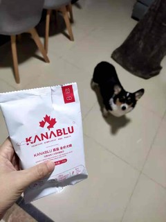 如果你家狗子和它一样挑食怎么办？嘉蓝犬粮