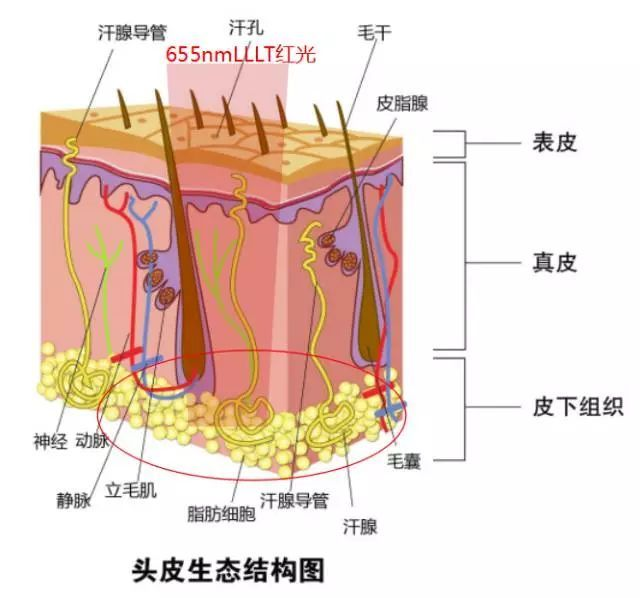 每6人就有1人中招？！这个问题真的没救了吗？