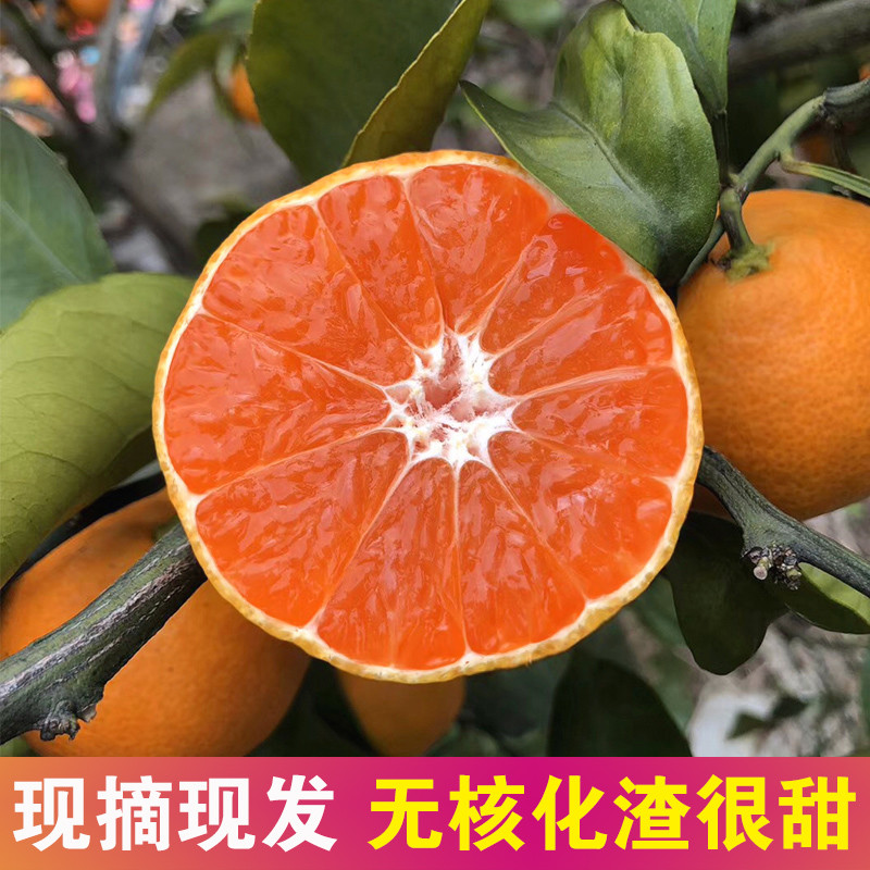 冬季必吃的 8 种应季水果来啦，内附多种花式吃法，走过路过不要错过！