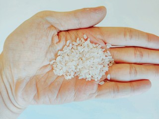 军稻香大米，老百姓吃得起的有机米！