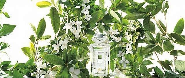 祖玛珑桂花清新水生的花香调香水