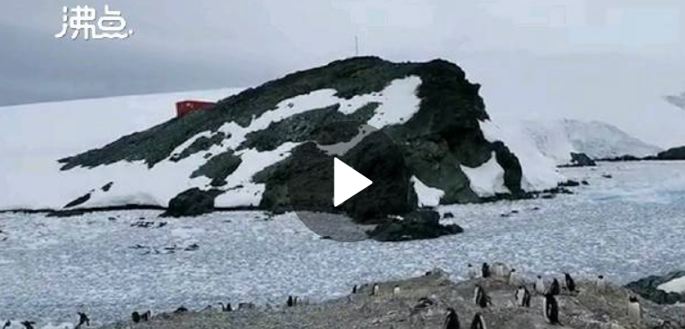 新冠入侵南极，地球已无净土？智利南极基地36人新冠阳性