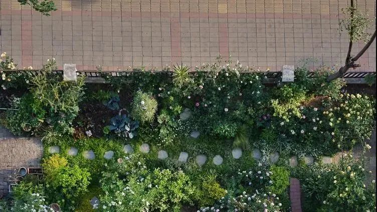  北方花艺师用6年，把200㎡都市荒院，改造成梦幻的爱丽丝仙境