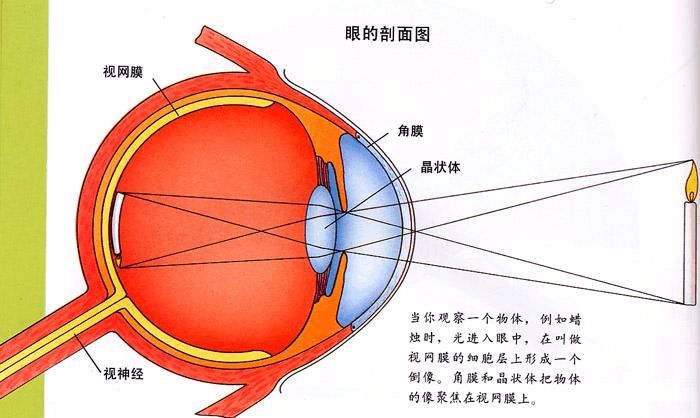 兴趣班宣传1个月看几百本书？我被这种“神奇”方法惊到了...“速读班”有那么神？？