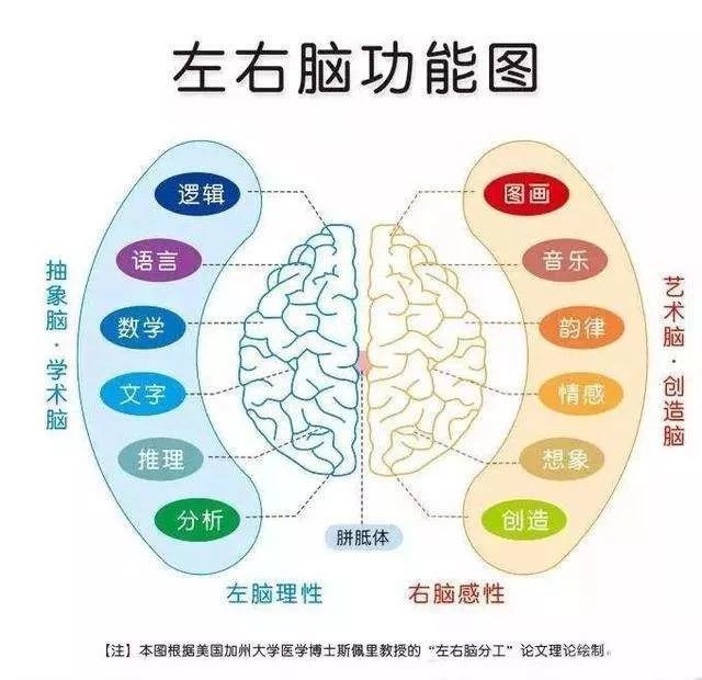 兴趣班宣传1个月看几百本书？我被这种“神奇”方法惊到了...“速读班”有那么神？？