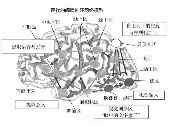 兴趣班宣传1个月看几百本书？我被这种“神奇”方法惊到了...“速读班”有那么神？？