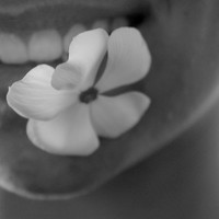 EnjoyDental 欢乐口腔 IDSO齿科联盟 牙齿矫正检查套餐