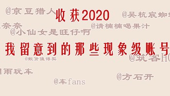 值得经 篇十六：收获2020，我留意到的那些现象级账号（不荐号，但是看得很开心！） 