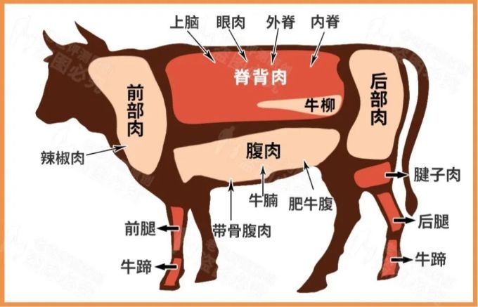 菲力西冷上脑牛排这么多怎么选才不踩坑